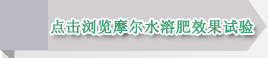 水溶肥效果试验 水溶肥效果试验